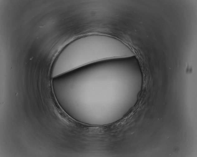 X0000094060050200710190942
