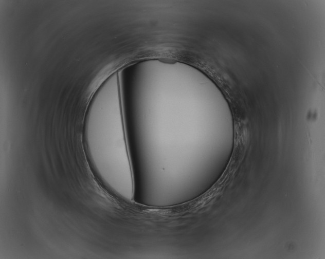 X0000094060051200710190942