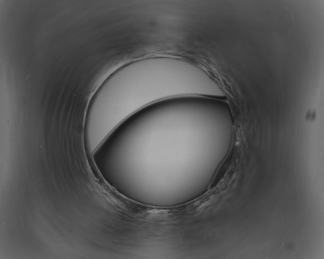 X0000094060052200710190942