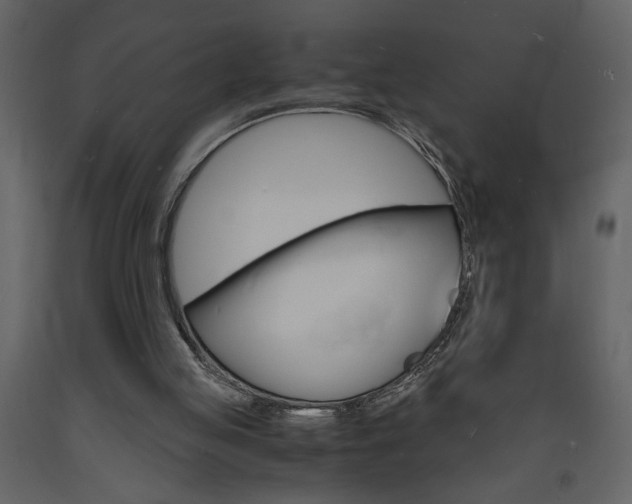 X0000094060053200710190942