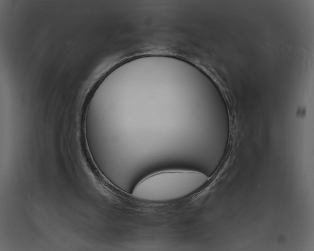 X0000094060055200710190942