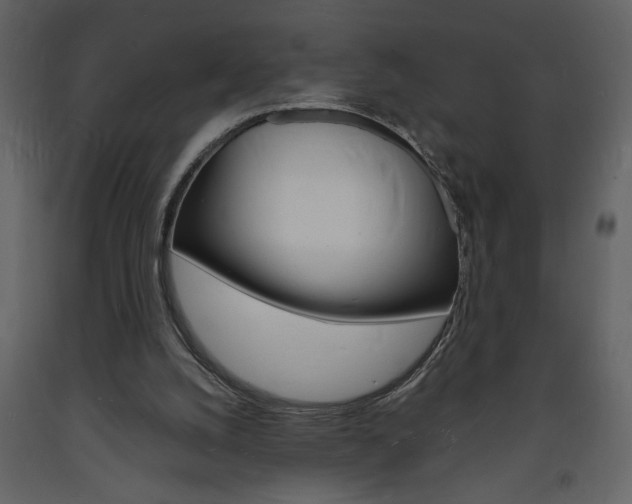 X0000094060056200710190942