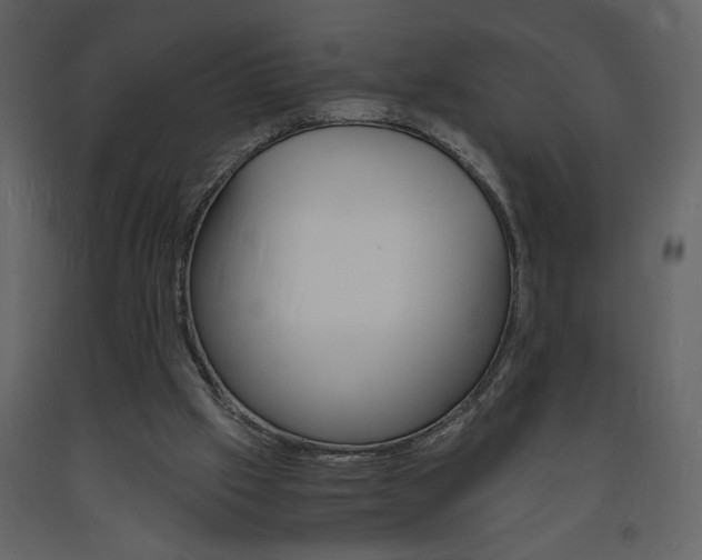 X0000094060057200710190942