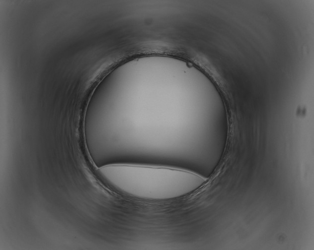 X0000094060058200710190942
