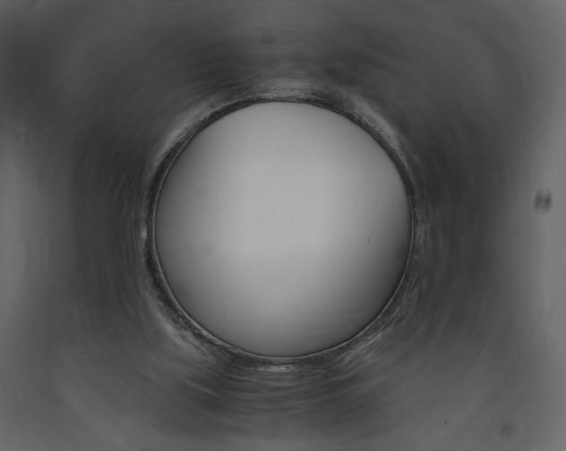 X0000094060059200710190942