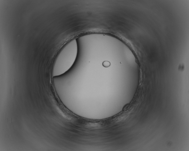 X0000094060061200710190942