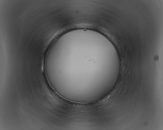 X0000094060062200710190942