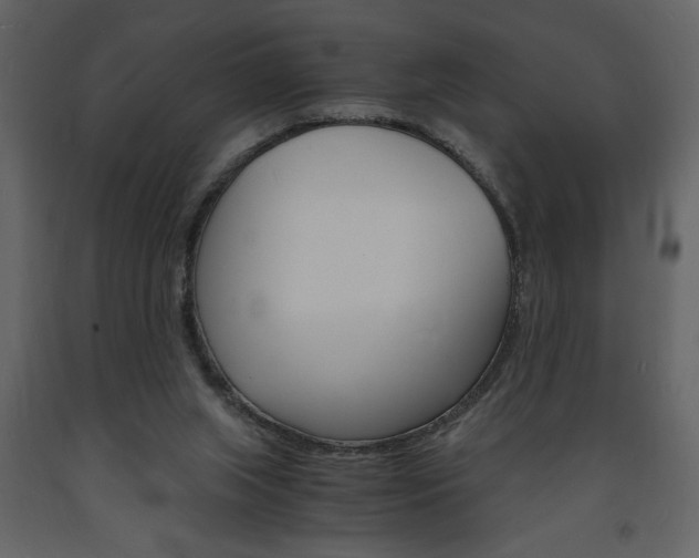 X0000094060063200710190942