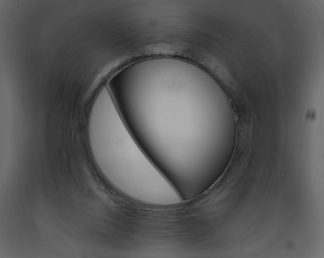 X0000094060064200710190942
