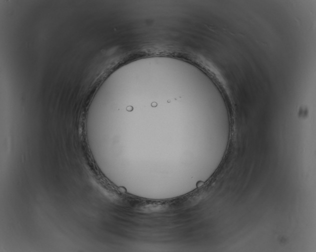 X0000094060065200710190942