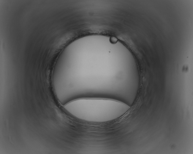 X0000094060066200710190942