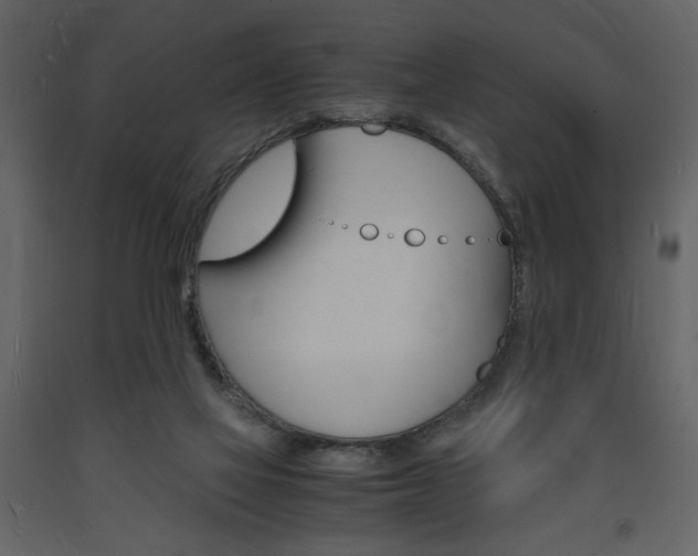 X0000094060069200710190942
