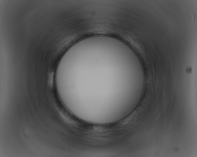 X0000094060070200710190942