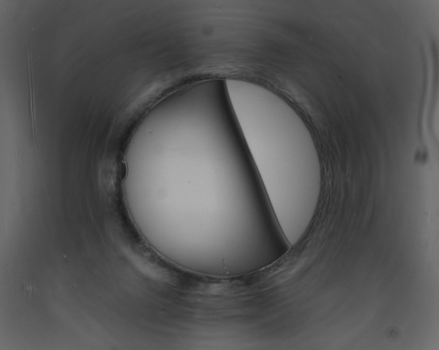 X0000094060072200710190943