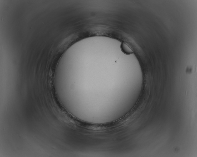 X0000094060073200710190943