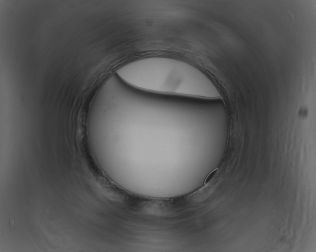 X0000094060074200710190943