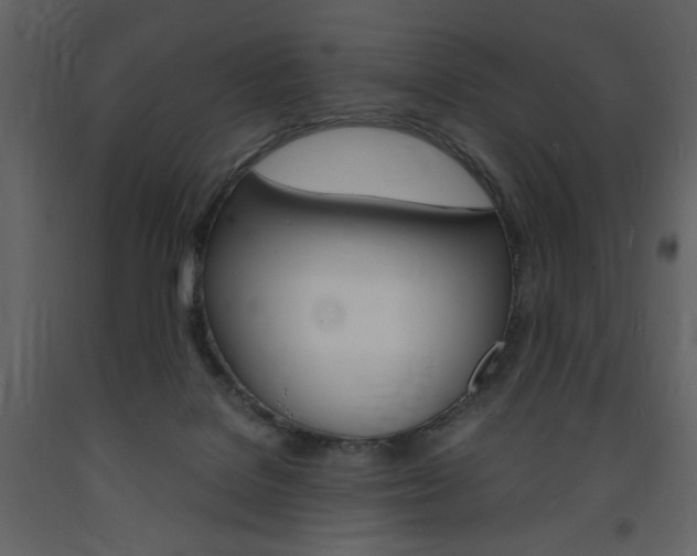 X0000094060076200710190943
