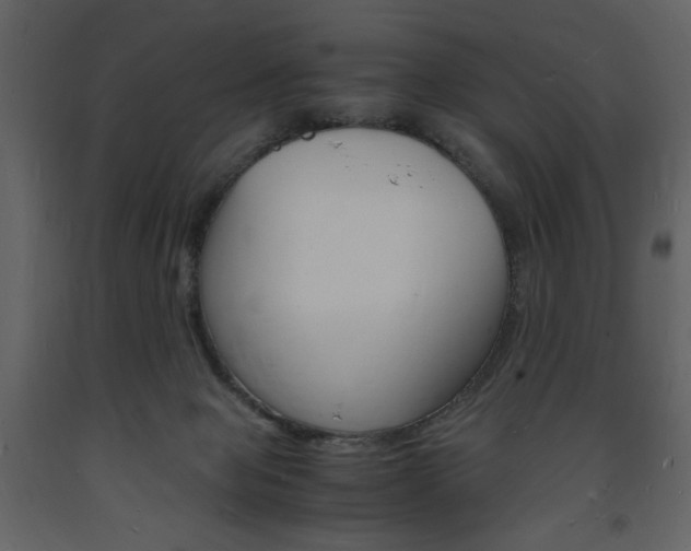 X0000094060077200710190943