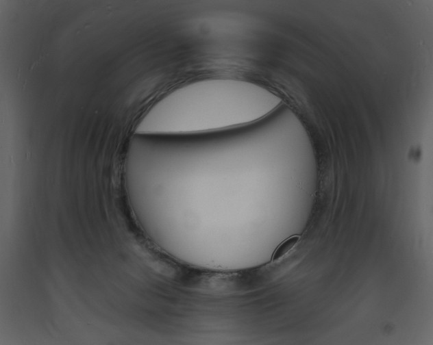 X0000094060078200710190943