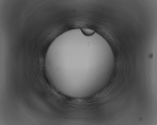 X0000094060079200710190943