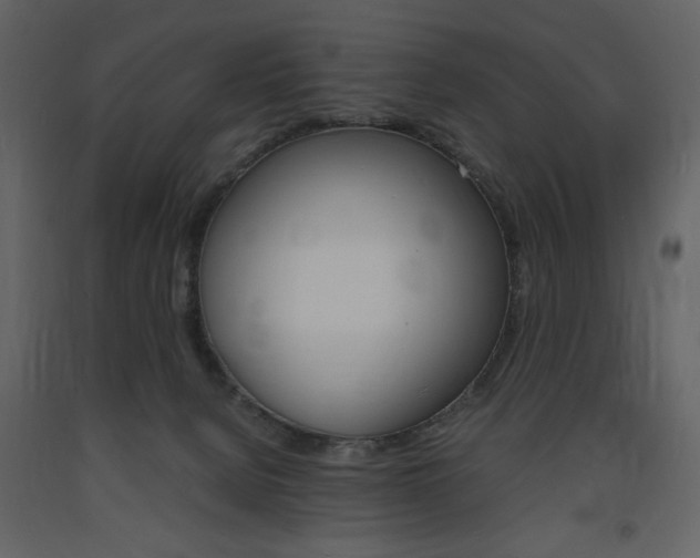 X0000094060080200710190943
