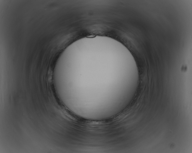 X0000094060081200710190943