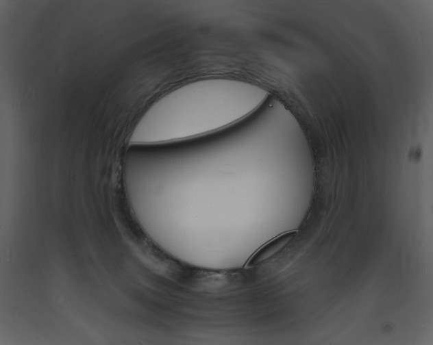 X0000094060083200710190943