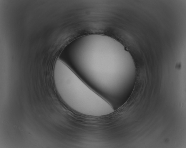 X0000094060084200710190943