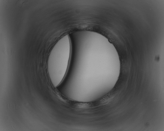 X0000094060085200710190943