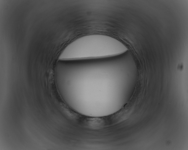 X0000094060087200710190943