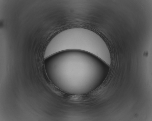 X0000094060088200710190943