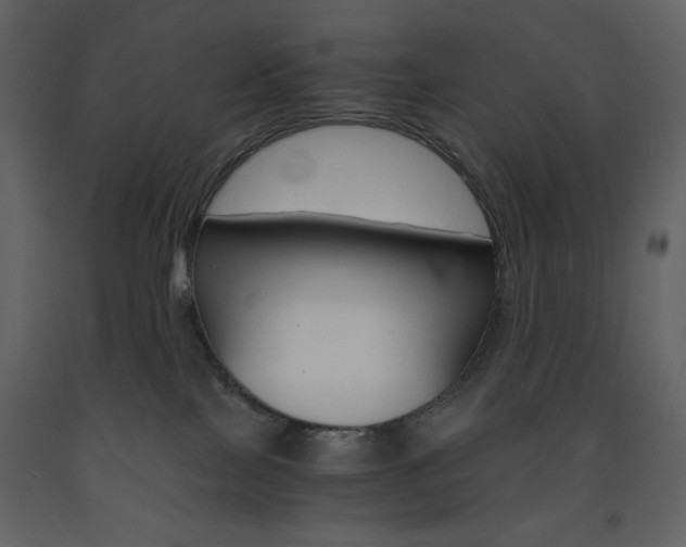 X0000094060089200710190943