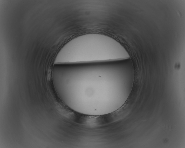 X0000094060090200710190943