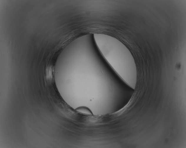 X0000094060094200710190943