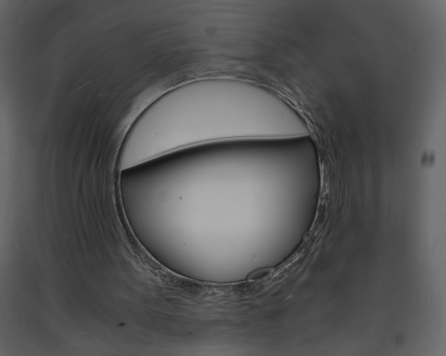 X0000094060099200710190942