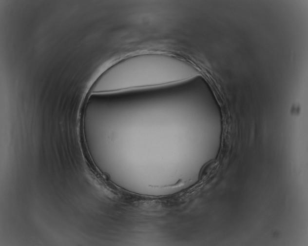 X0000094060100200710190942