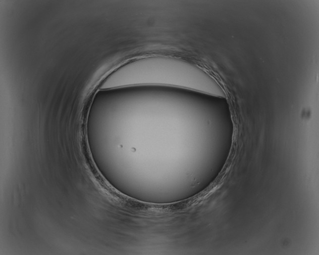 X0000094060101200710190942
