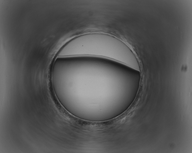 X0000094060103200710190942