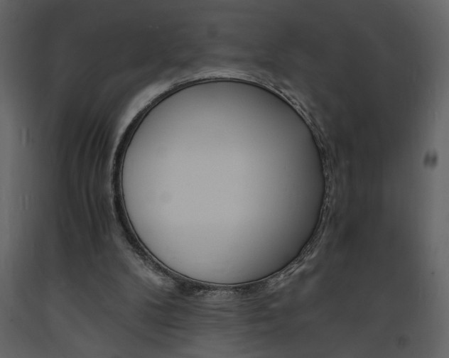 X0000094060104200710190942