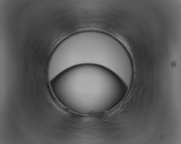 X0000094060105200710190942