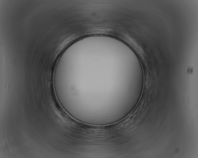 X0000094060107200710190942