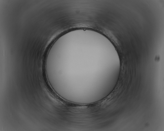X0000094060108200710190942