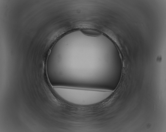 X0000094060109200710190942