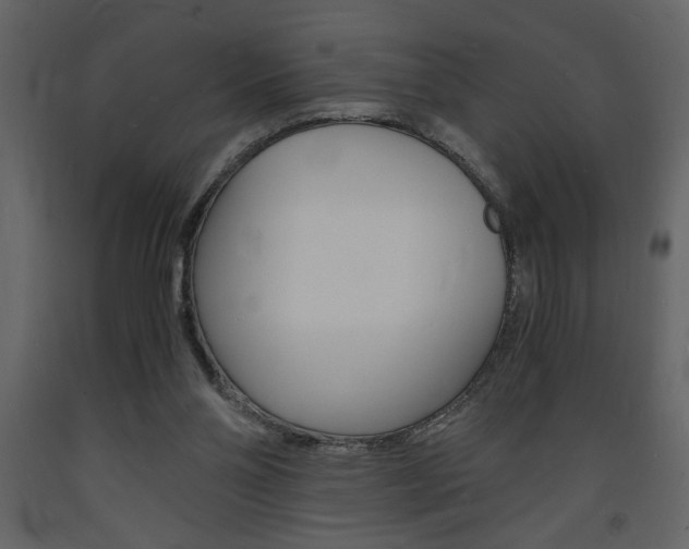 X0000094060110200710190942