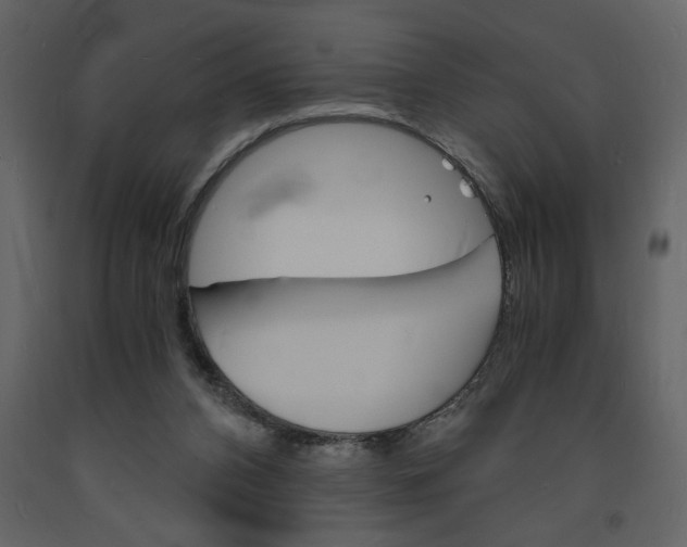 X0000094060112200710190942