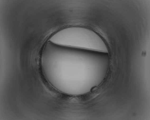X0000094060115200710190942