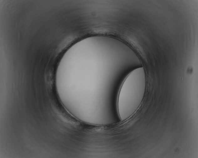 X0000094060116200710190942