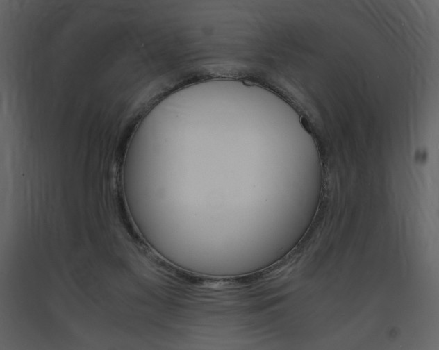 X0000094060117200710190942