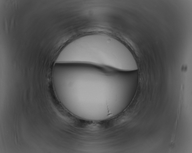X0000094060119200710190942