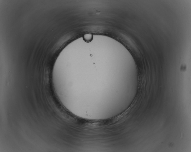 X0000094060120200710190942